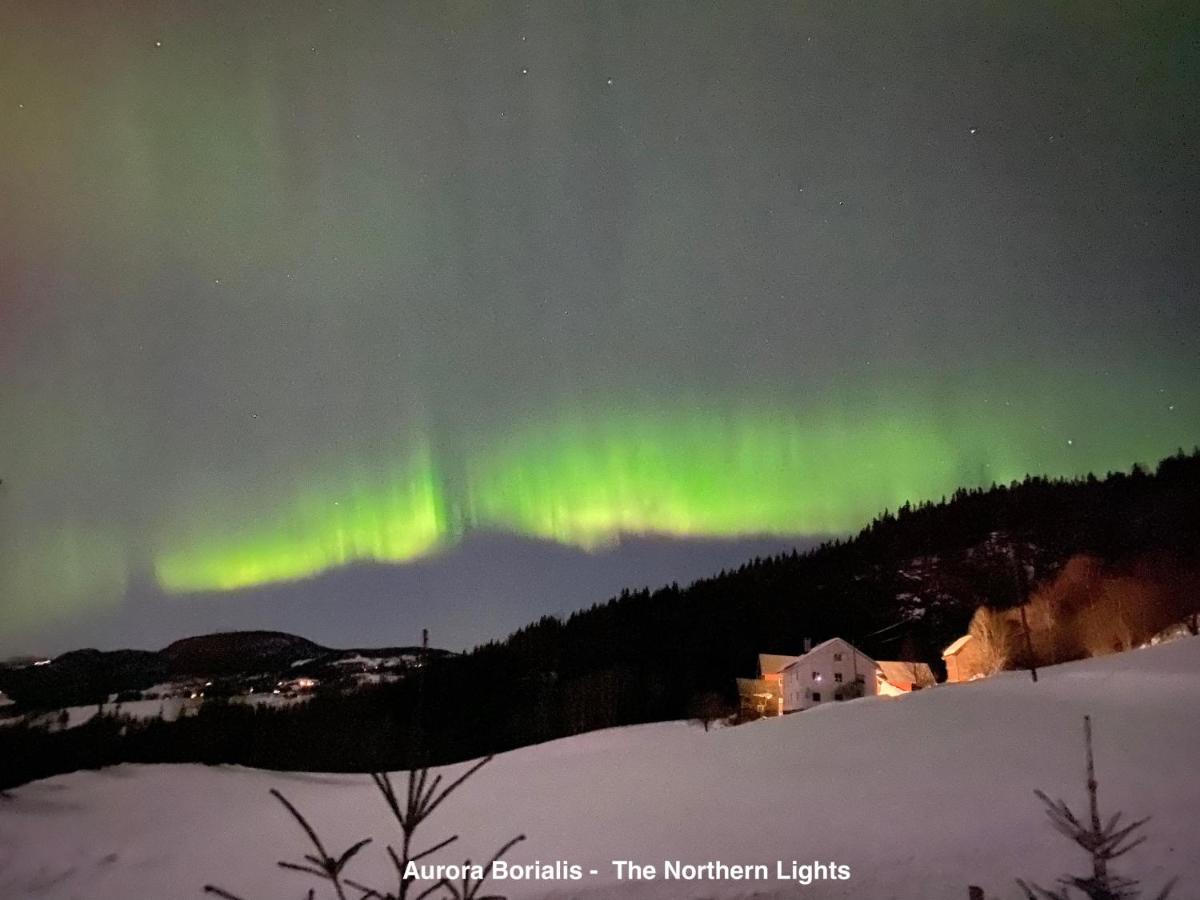 Hafjell Alpinlandsby Apt 88 Zewnętrze zdjęcie